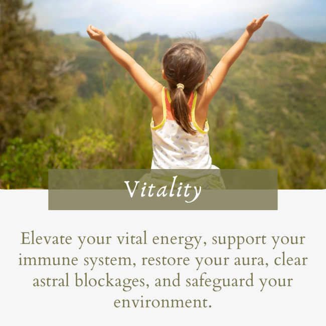 Vitality Healing