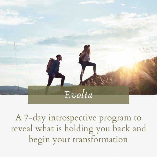 Evolia Program - Personal Development