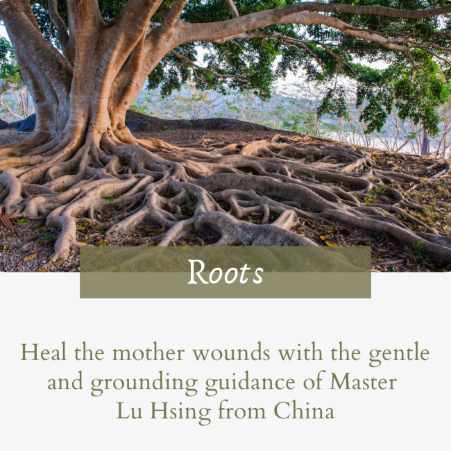 Roots - Healing Meditation with Master Lu Hsing